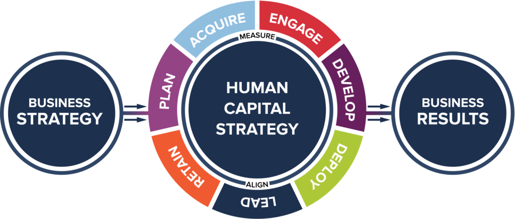 human capital strategy diagram for solutions page